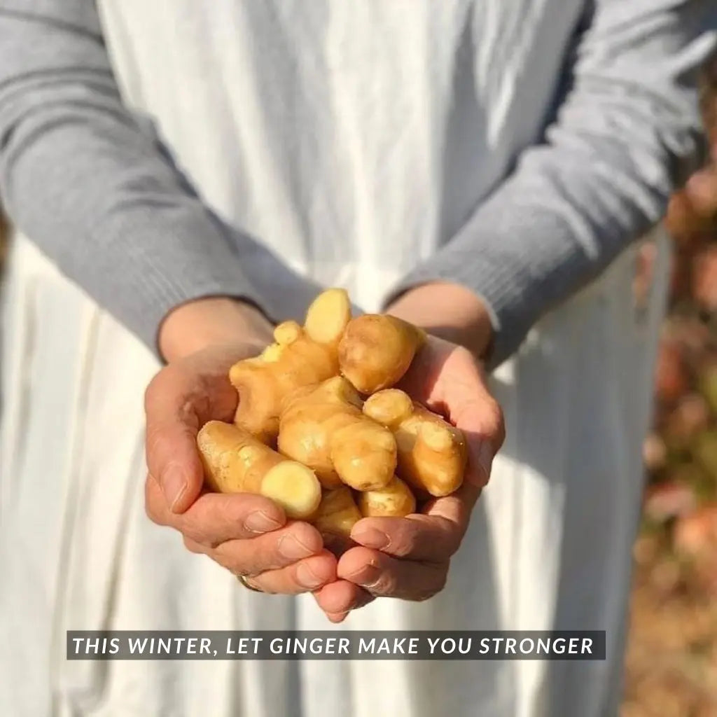 B. [Immune Booster] Ginger Cordial 500g (Halal, Vegan)_Cordials & Drinks