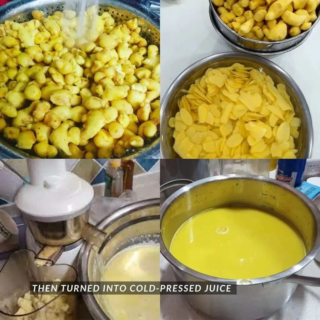 B. [Immune Booster] Ginger Cordial 500g (Halal, Vegan)_Cordials & Drinks