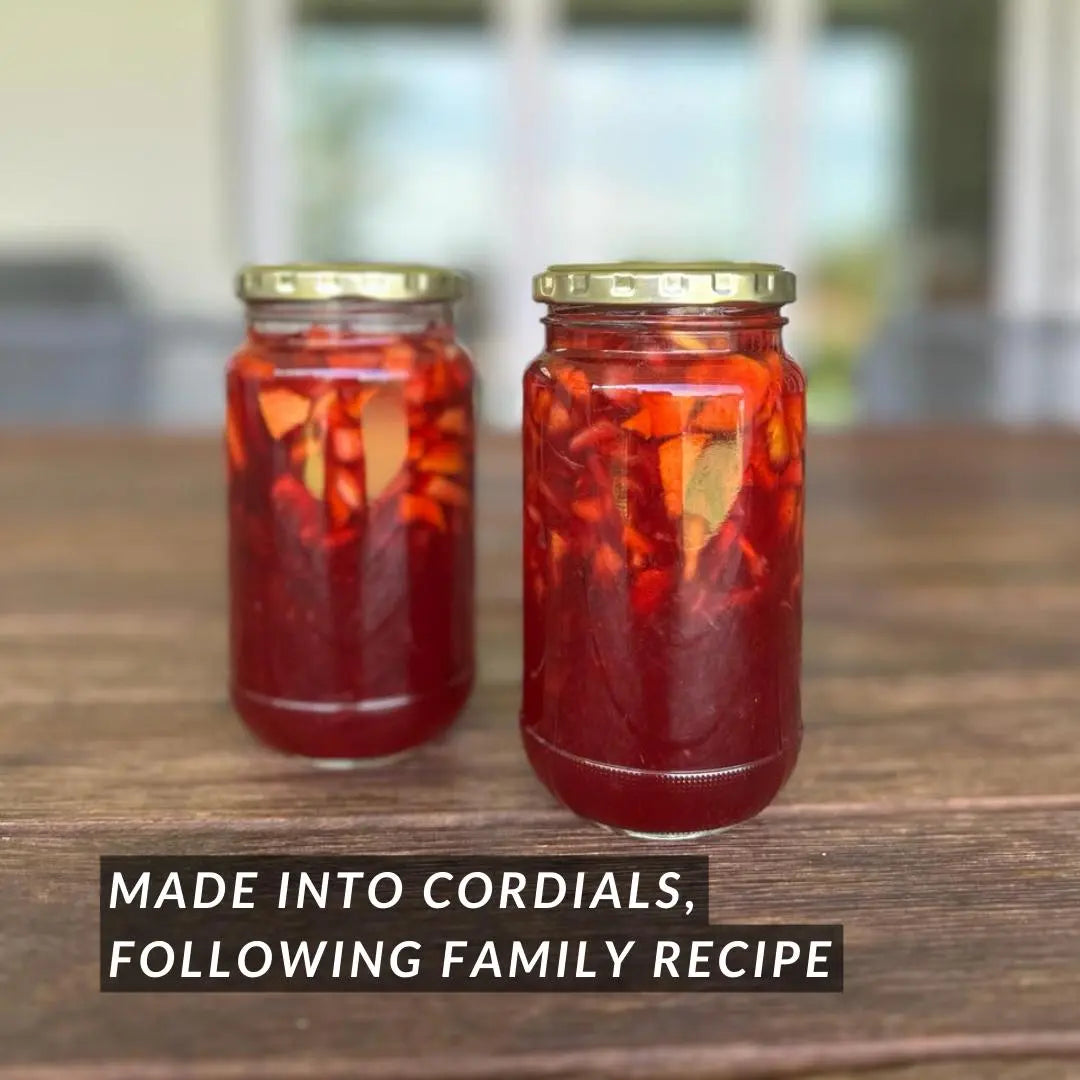 B. [Summer Edition] Peach Nectarine Cordial 450g (Halal, Vegan)_Cordials & Drinks