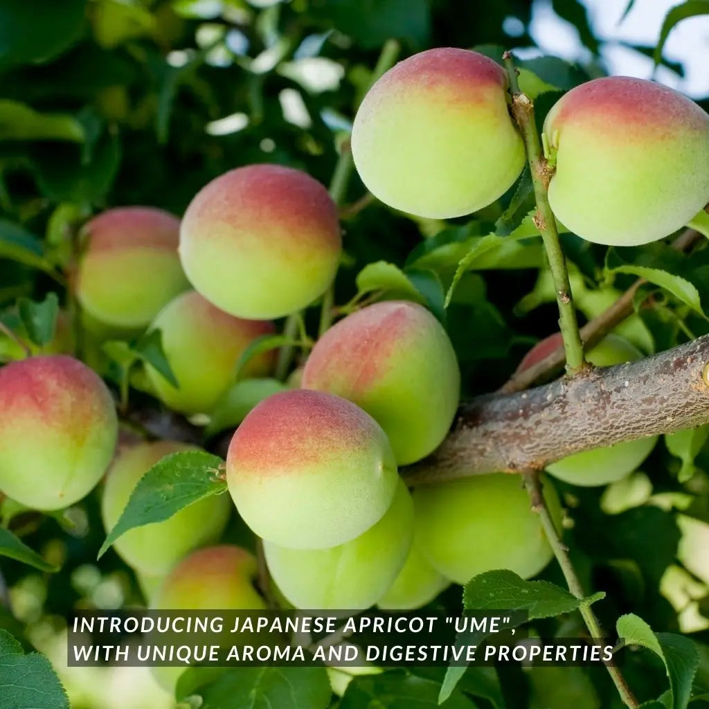 Ume Tomato 500g, Cordials & Drinks